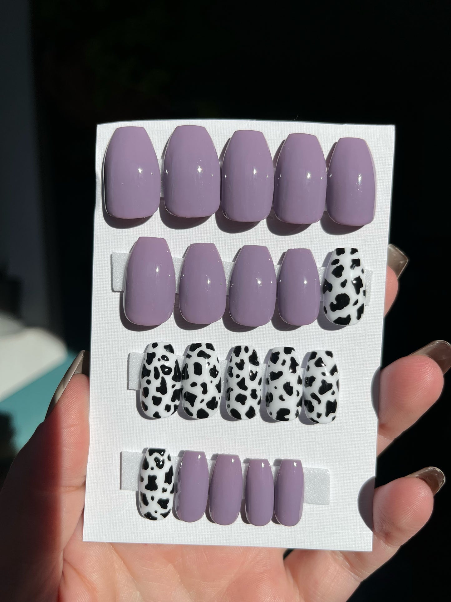 Purple Cow 20 pc (short coffin)