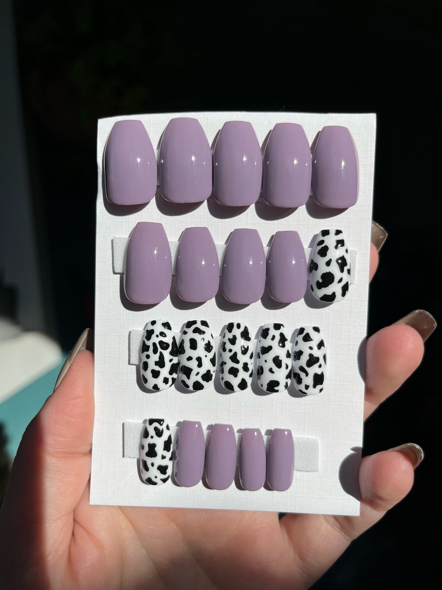 Purple Cow 20 pc (short coffin)