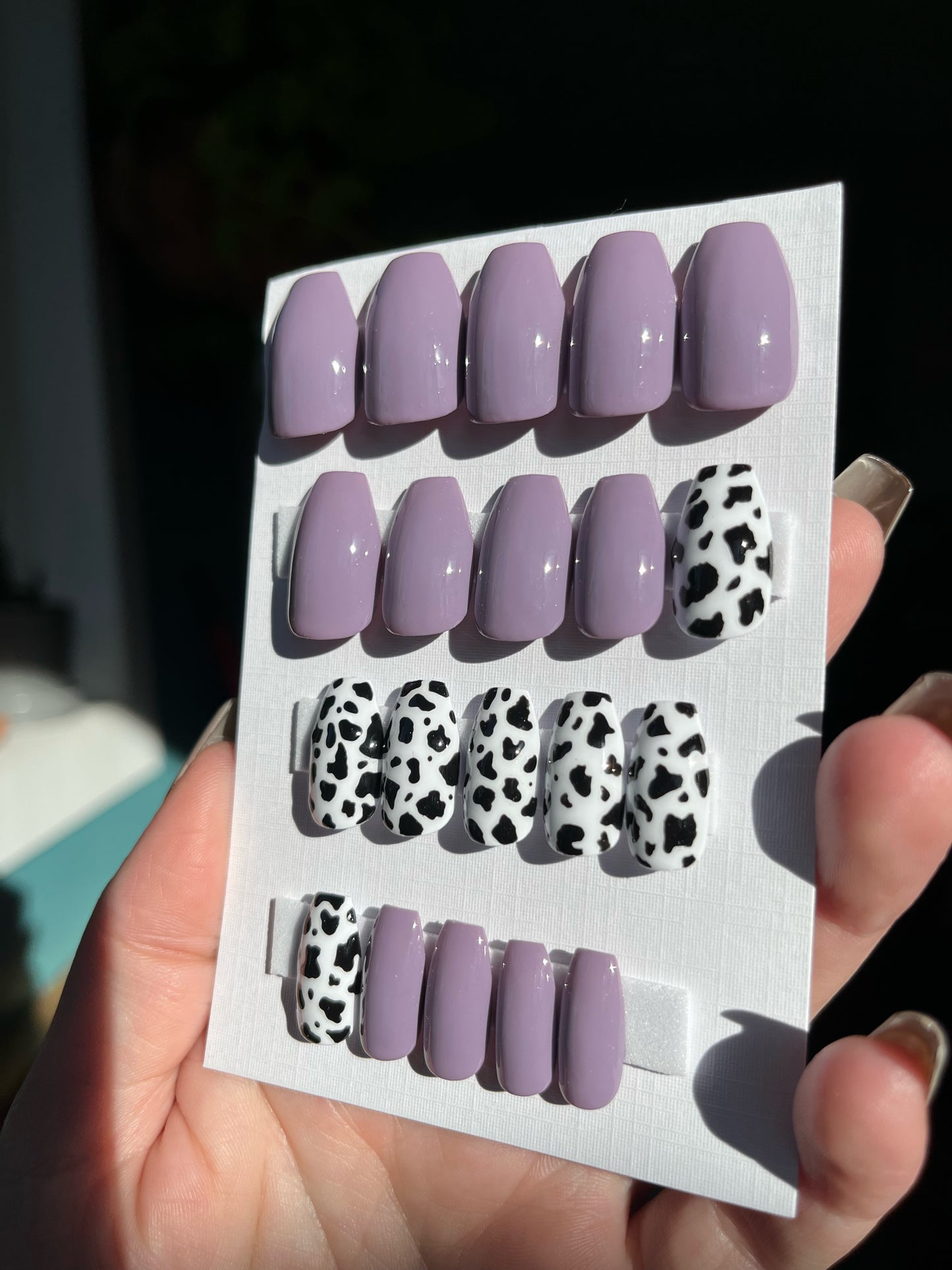 Purple Cow 20 pc (short coffin)